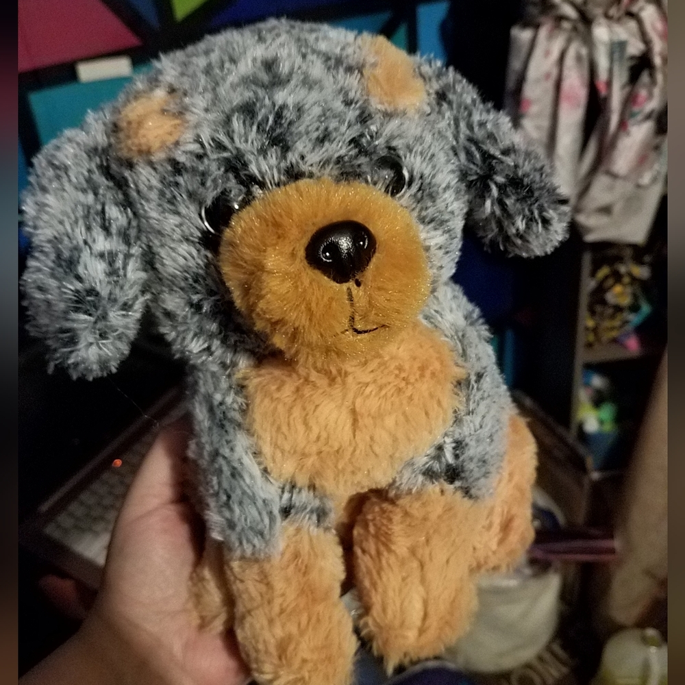 *HIDDEN STASH PUPPY*